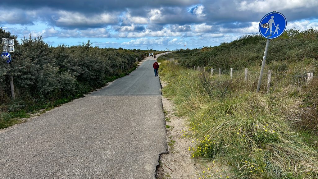 The path to the beach went through extensive grassy dune areas