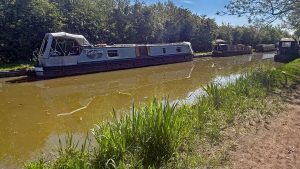 A view of NB Fantasma