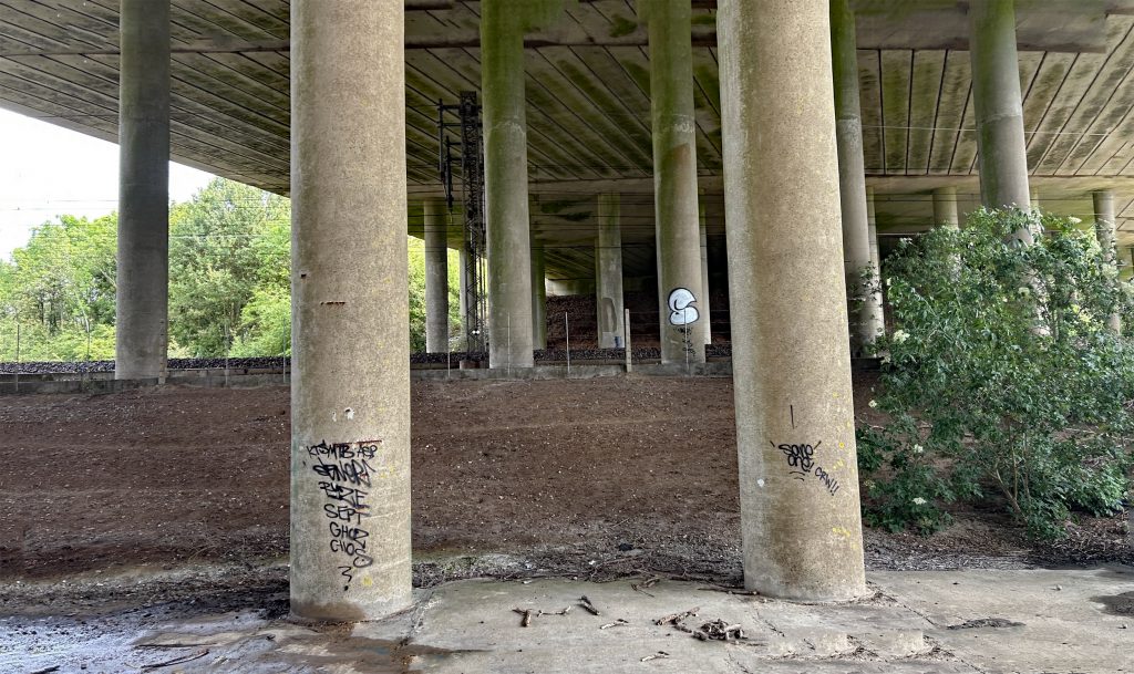 A forest of columns support the M6 Motorway