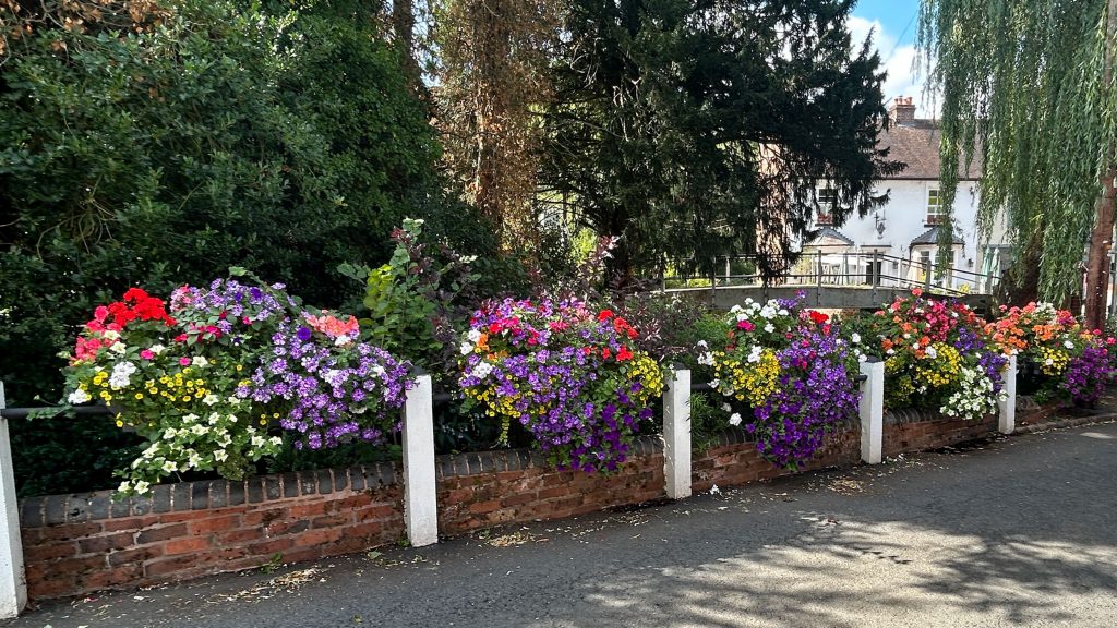 Wolverley village is a riot of colourful flower planting