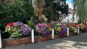 Wolverley village is a riot of colourful flower planting